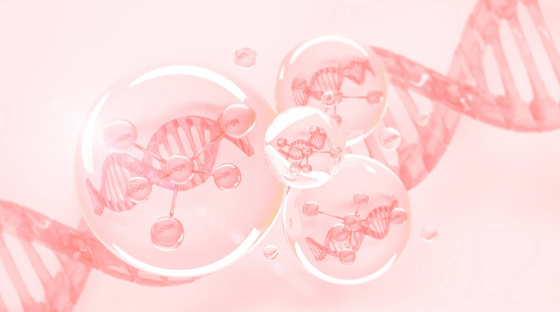 The Science Story Behind Acie™